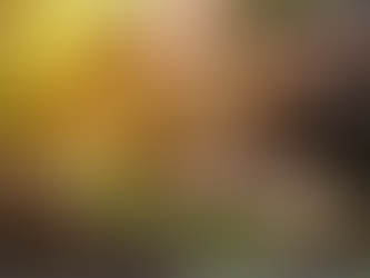 Alta recorde do cacau pressiona indústria do chocolate e abre espaço para inovação tecnológica