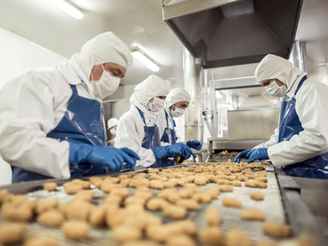 Indústria alimentícia lidera geração de empregos no Brasil, aponta IBGE