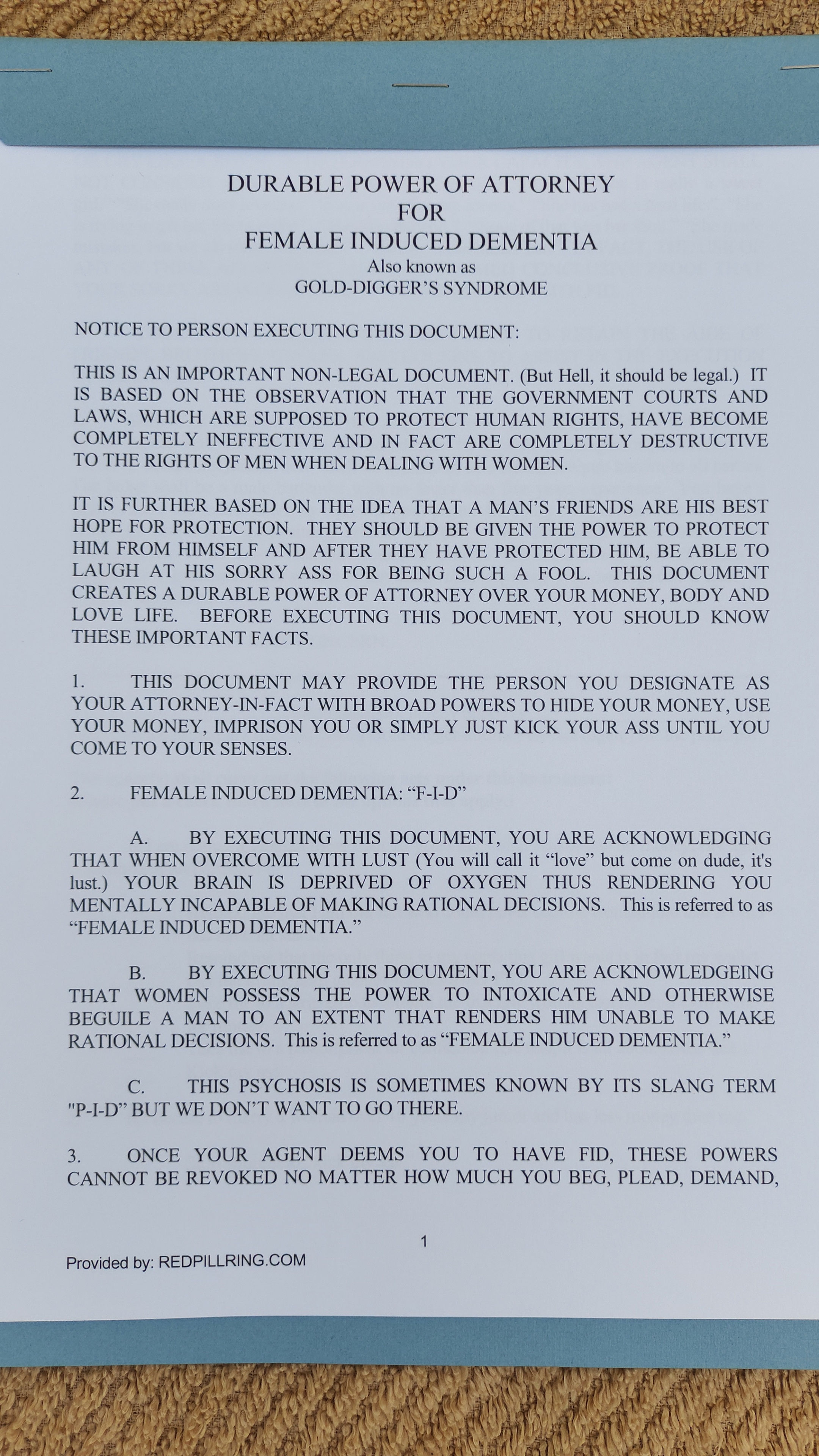 GOLD DIGGERS POWER OF ATTORNEY