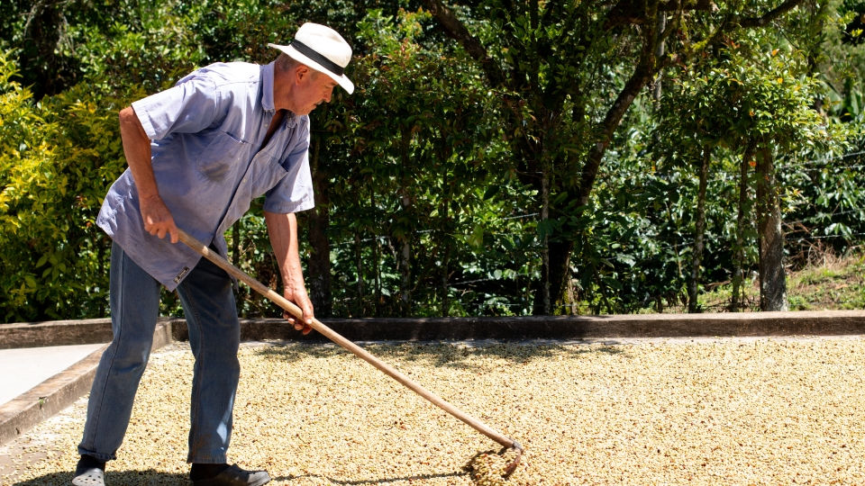 Direct Trade Kaffee: Warum Herkunft wichtiger ist als jedes Bio-Siegel