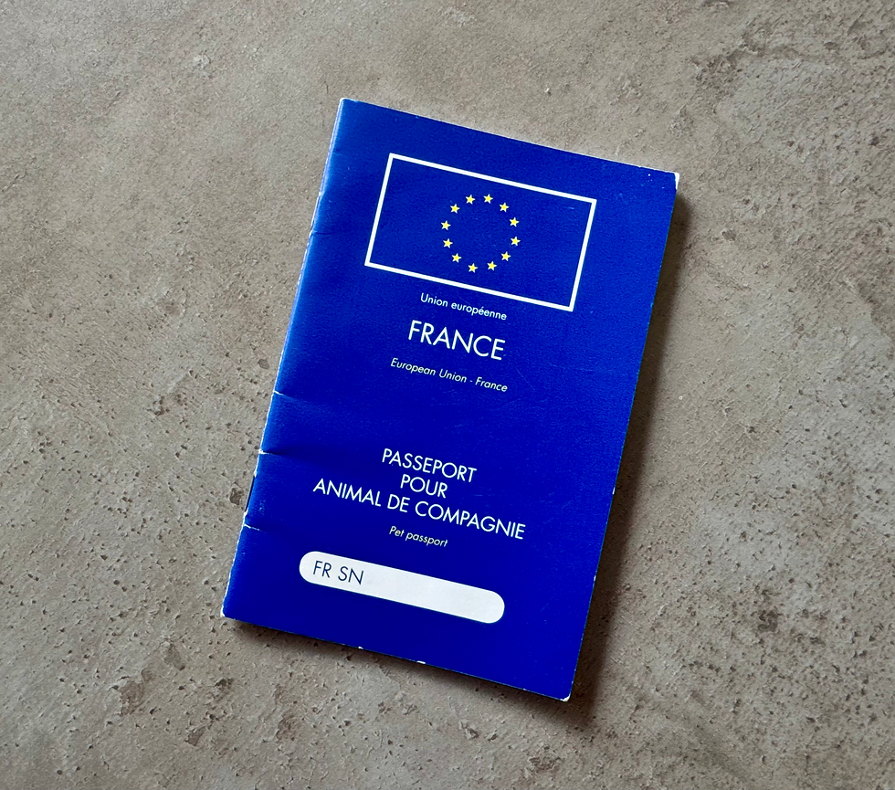 Passeport pour chien : est-il obligatoire pour voyager avec son animal ?