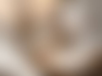 5 signaux pour savoir si mon chat est heureux
