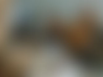 4 étapes pour déménager avec son chien sereinement