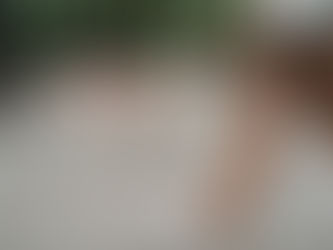 Promener son chien en laisse sans qu'il tire : 5 choses à savoir