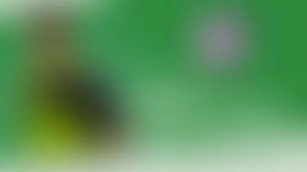 Merci ! Yassin KERCKHOVE