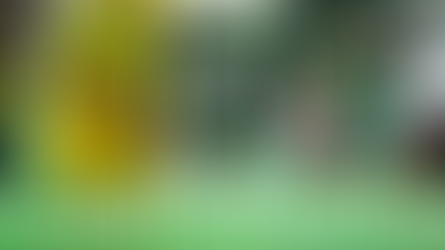 Renouvellement de licence et tarifs du LMHBCV saison 2022 - 2023