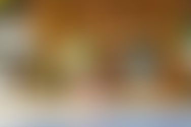 Félicitions à Yael, Aymen, Clarence, Lenny, Thibaut et Alec