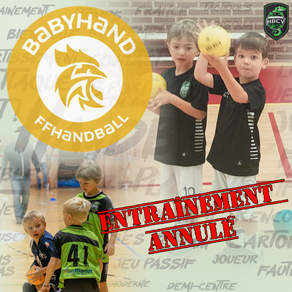 Baby Hand entraînement de ce samedi 29 janvier annulé