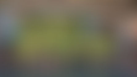 VICTOIRE 27-24 de nos seniors face à Molsheim Olympique Club Handball .