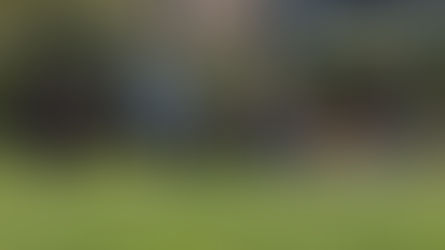 Entraînements sous le soleil