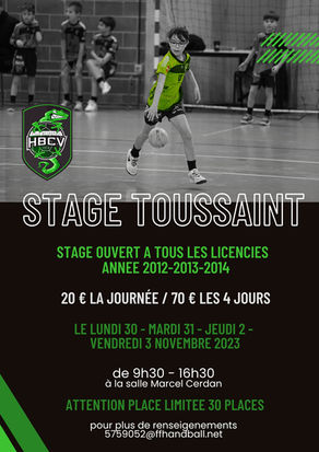 STAGE TOUSSAINT 2012-2013 et 2014