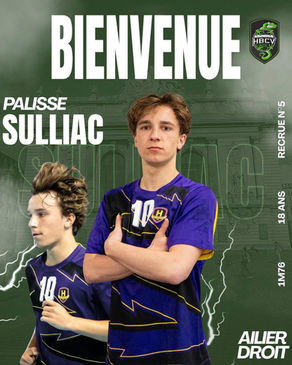 N2.Recrutement Sulliac PALISSE