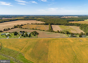 Meredith Farms Image.jpeg