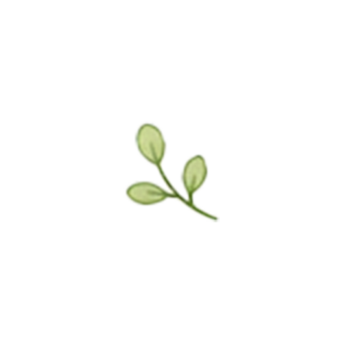 会社概要03.png