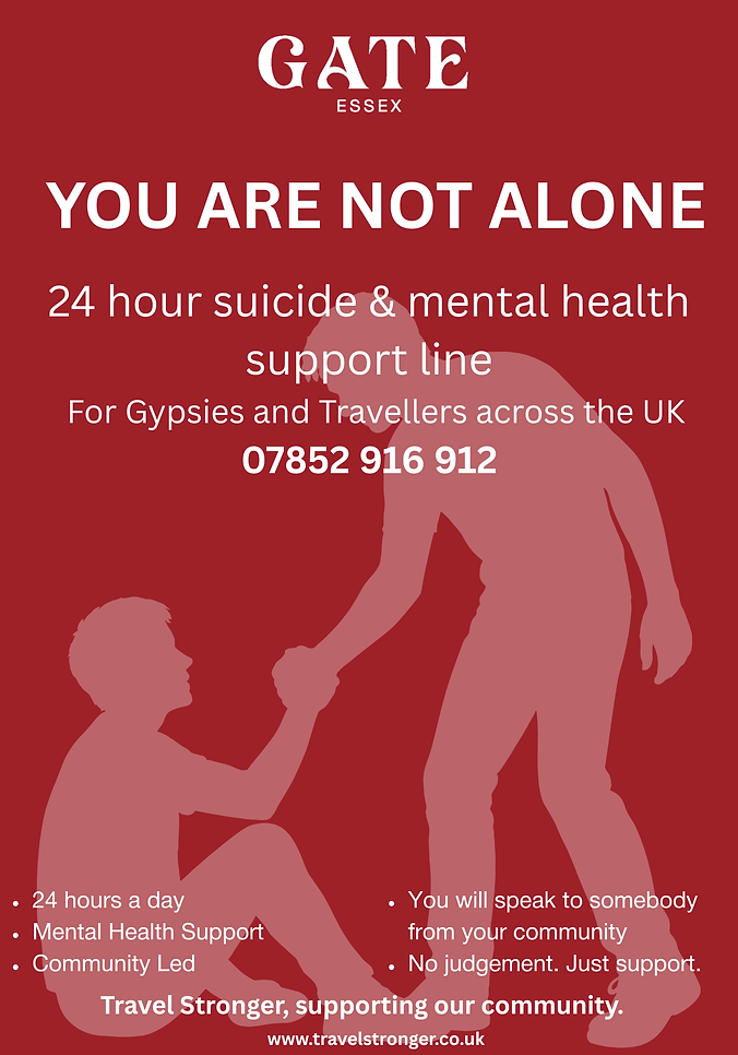 247 support line poster.png