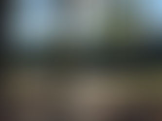 Natchez, MS to Zavalla, TX