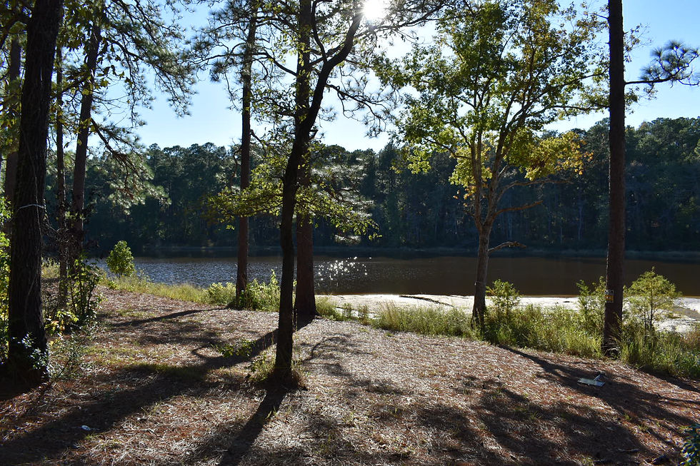 Natchez, MS to Zavalla, TX 