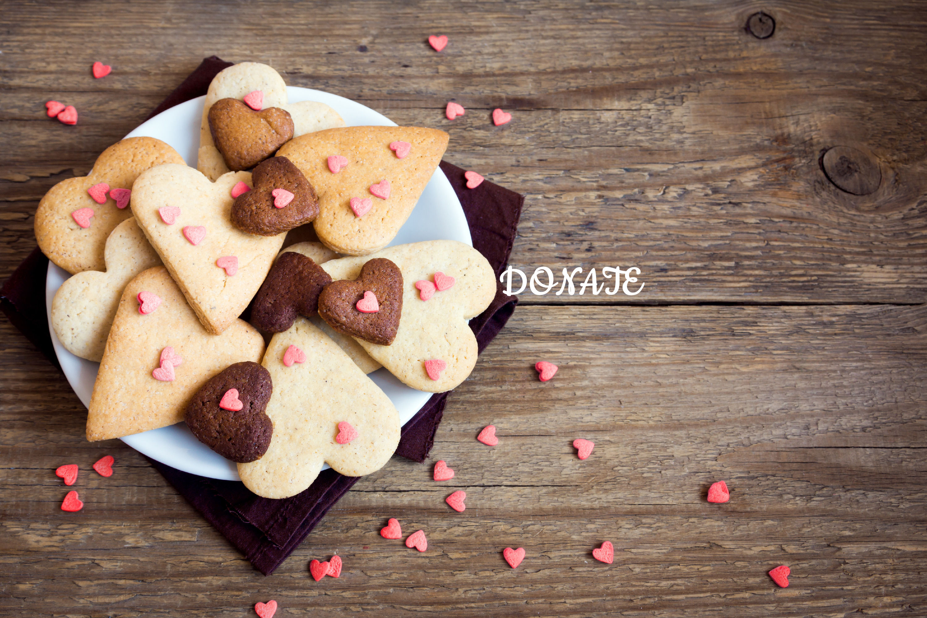 DONATE & SUPPORT OUR MISSION