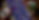 Food Banner.png