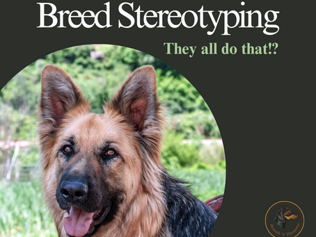 Breed Stereotyping