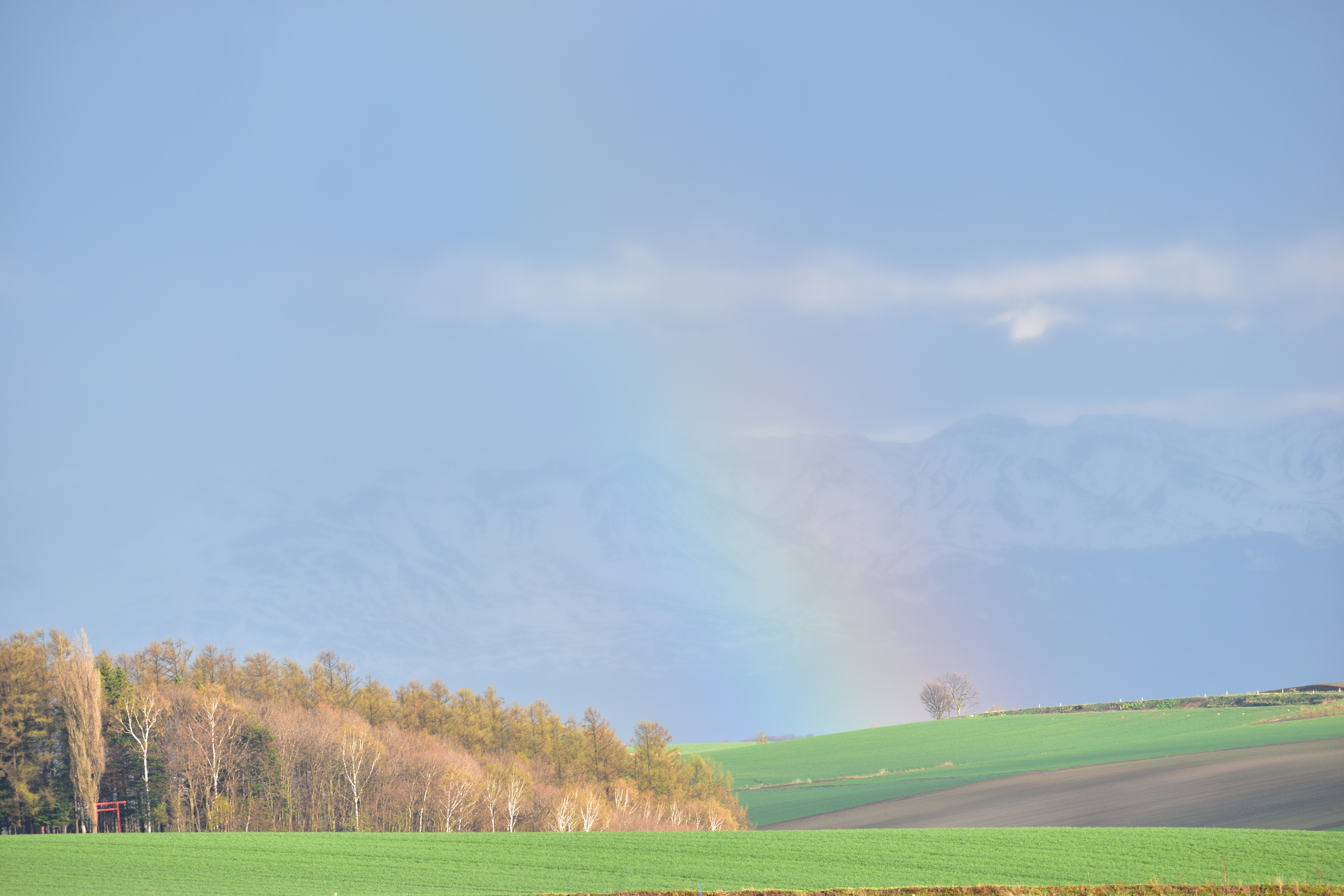 美しい 北海道風景ギャラリー 癒し Hokkaido Photograph