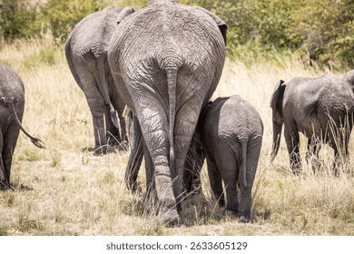 Thumbnail: A Mother's Love - Mama & Baby Elephant Necklace