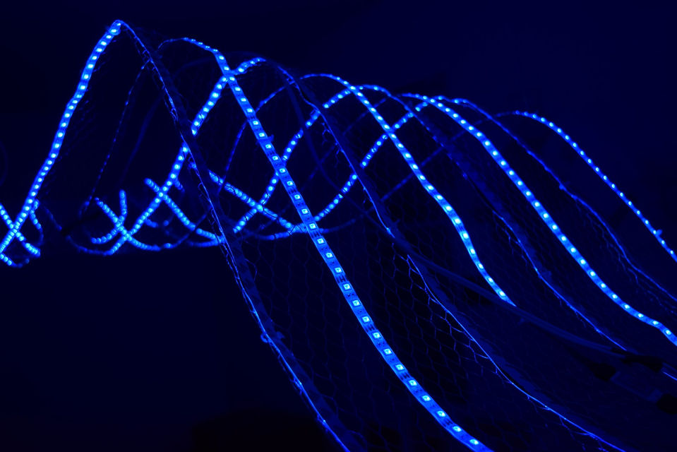 DSC_0938 (Large).JPG