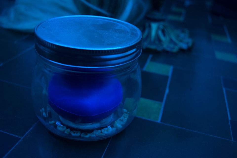 DSC_1035 (Large).JPG