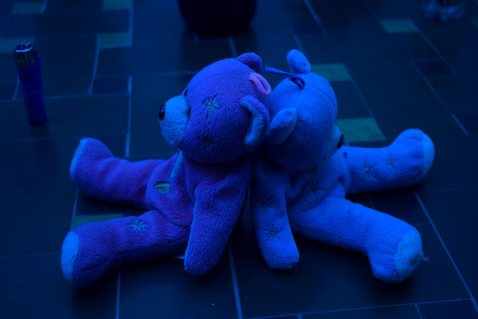 DSC_1031 (Large).JPG