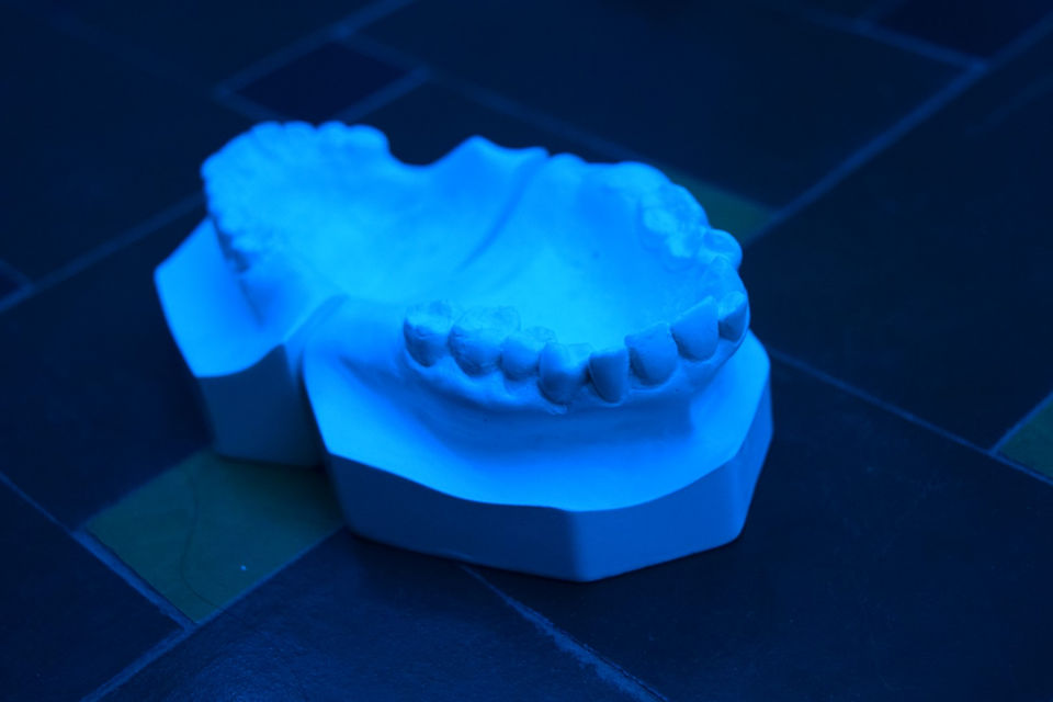 DSC_1036 (Large).JPG