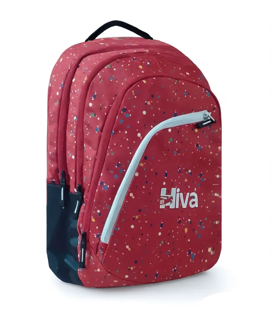 Hiva Laptop Bag Model no:H51007RC-4 compartments(FREE smart Watch)