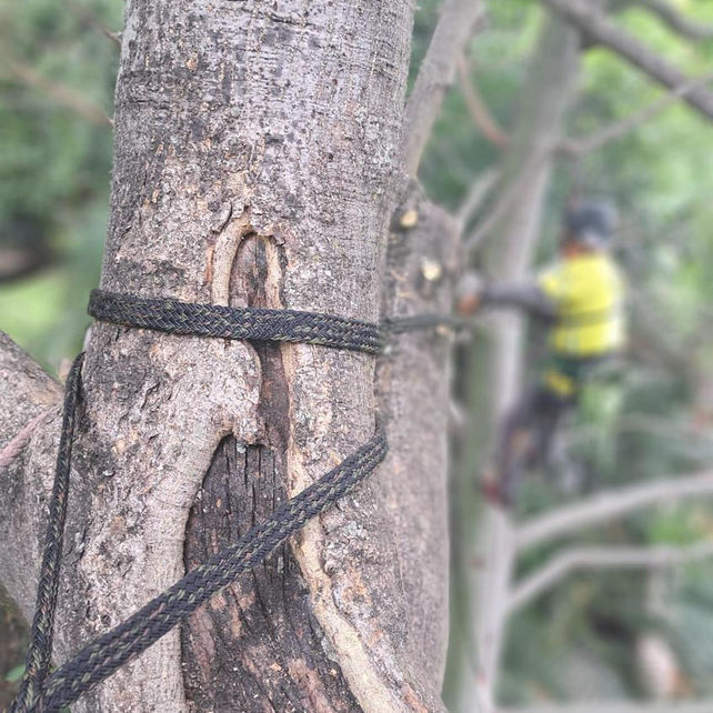 Instalación de cableado 