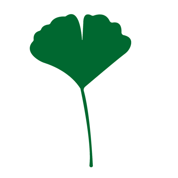 ginkgo