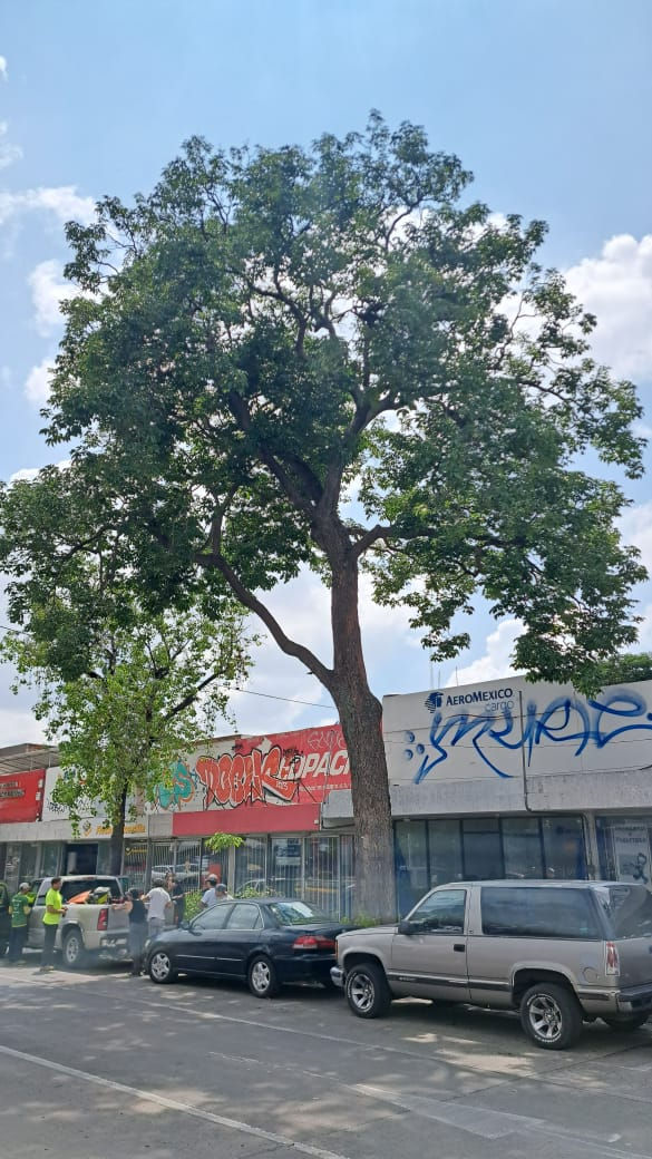 PHOTO-2024-10-03-20-16-01(10)