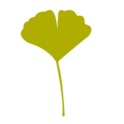 ginkgo arboricultura