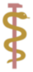 ph_Symbol_Web_Dev.png