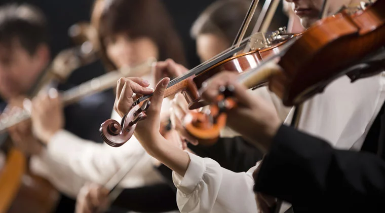 What-instruments-Are-In-The-Orchestral-String-Family-Blog.webp