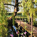 IMG_3379.jpg