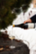 Chardo_domaine aigle deux têtes.jpg
