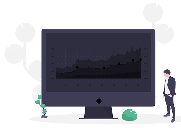 undraw_financial_data_es63 (1).png