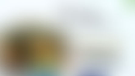 미동북부지방 연합성회