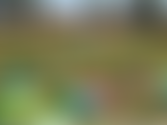 Easter Egg Hunt 4/20 @ 12PM