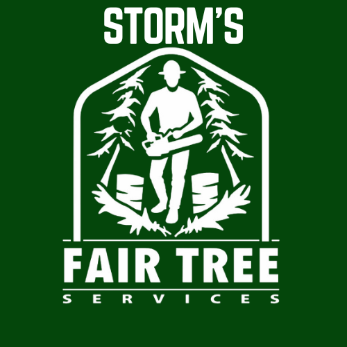 Fair Tree Service. work site