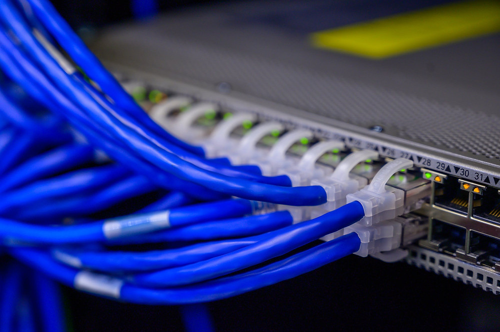 Blue network cables plugged into a switch