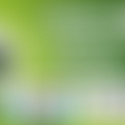 28.08.2020 - Najava: Prvenstvena utakmica 