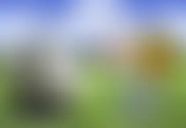 13.04.2015 - NK Croatia – FC Altstetten