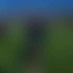 26.03.2024 - AKTIVE - Bericht über das letzte Vorbereitungsspiel der ersten Mannschaft