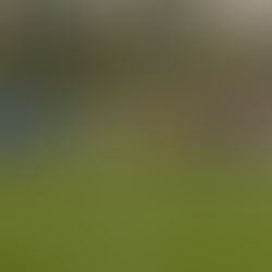 Croatiji Zürich samo bod na gostovanju kod Engstringena