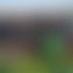 10.11.2021 - Croatia Zürich deklasirala Dietikon sa 7:1, Petrlić zabio čak 5 pogodaka