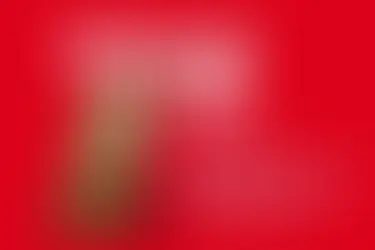 14.02.2015 - Večernjakova Domovnica 2015